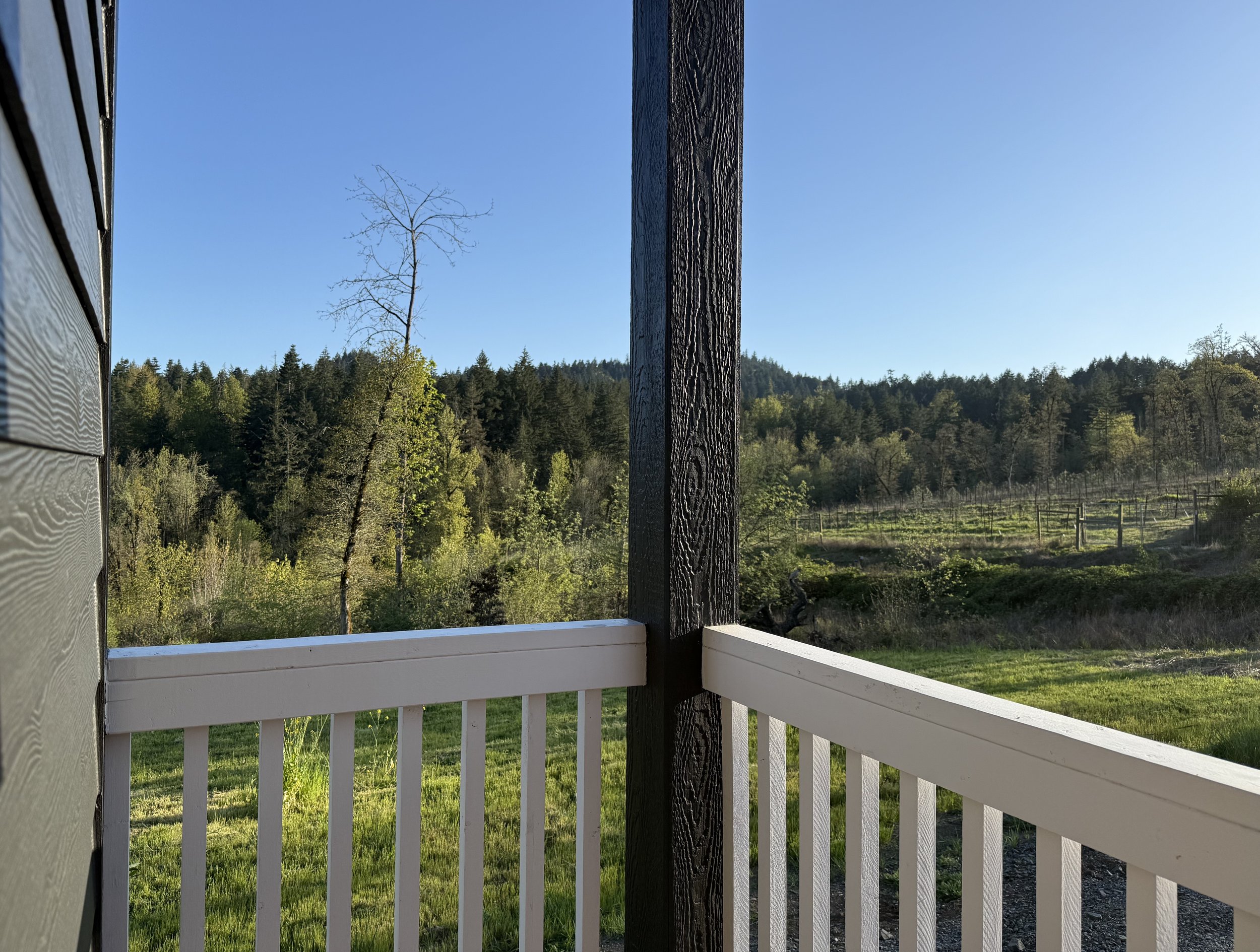 Interior of the vineyard cottage at Chaos Vineyard