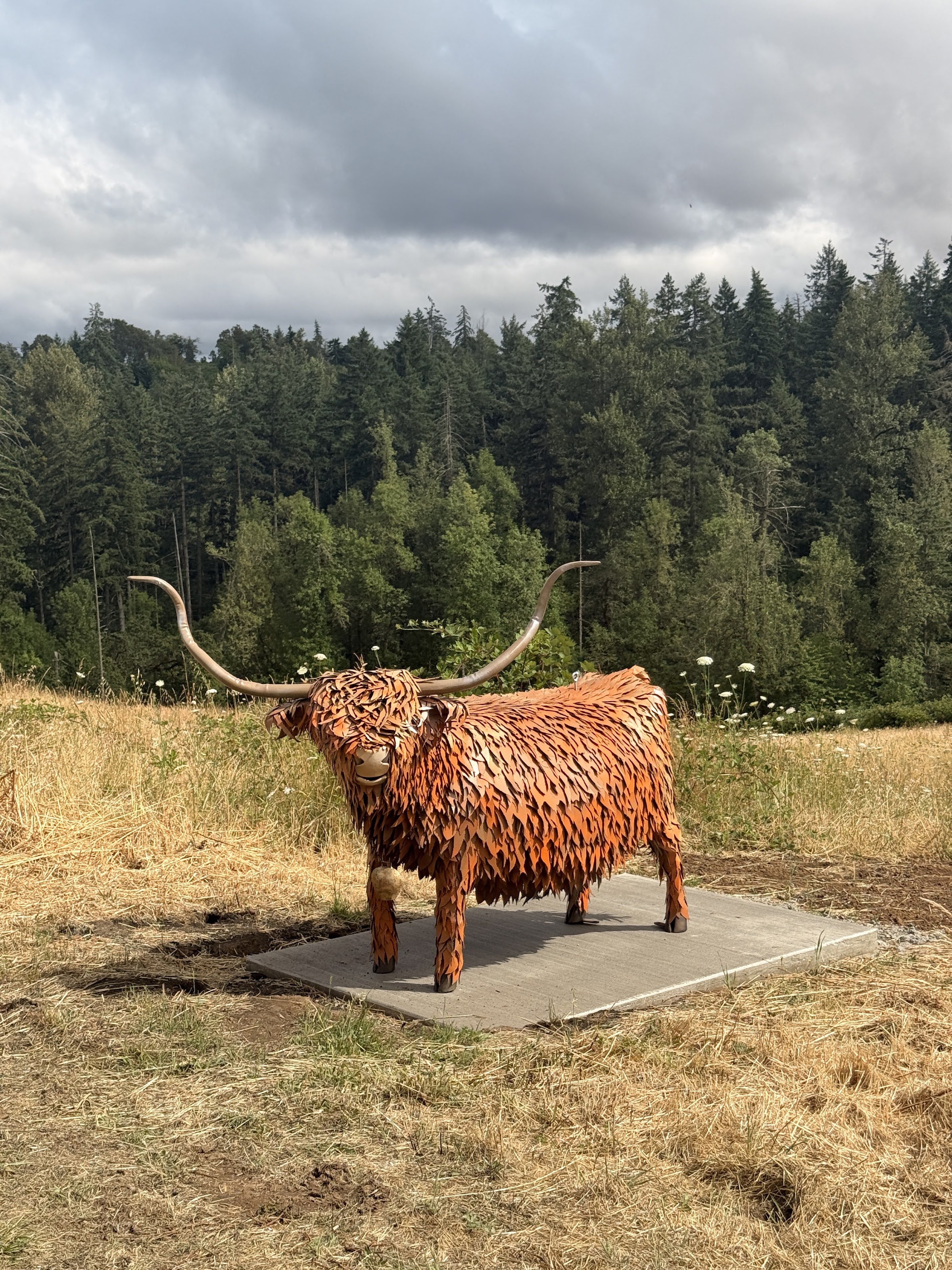 Erma, highland cow sculpture by Renee Mahni, at Chaos Vineyard