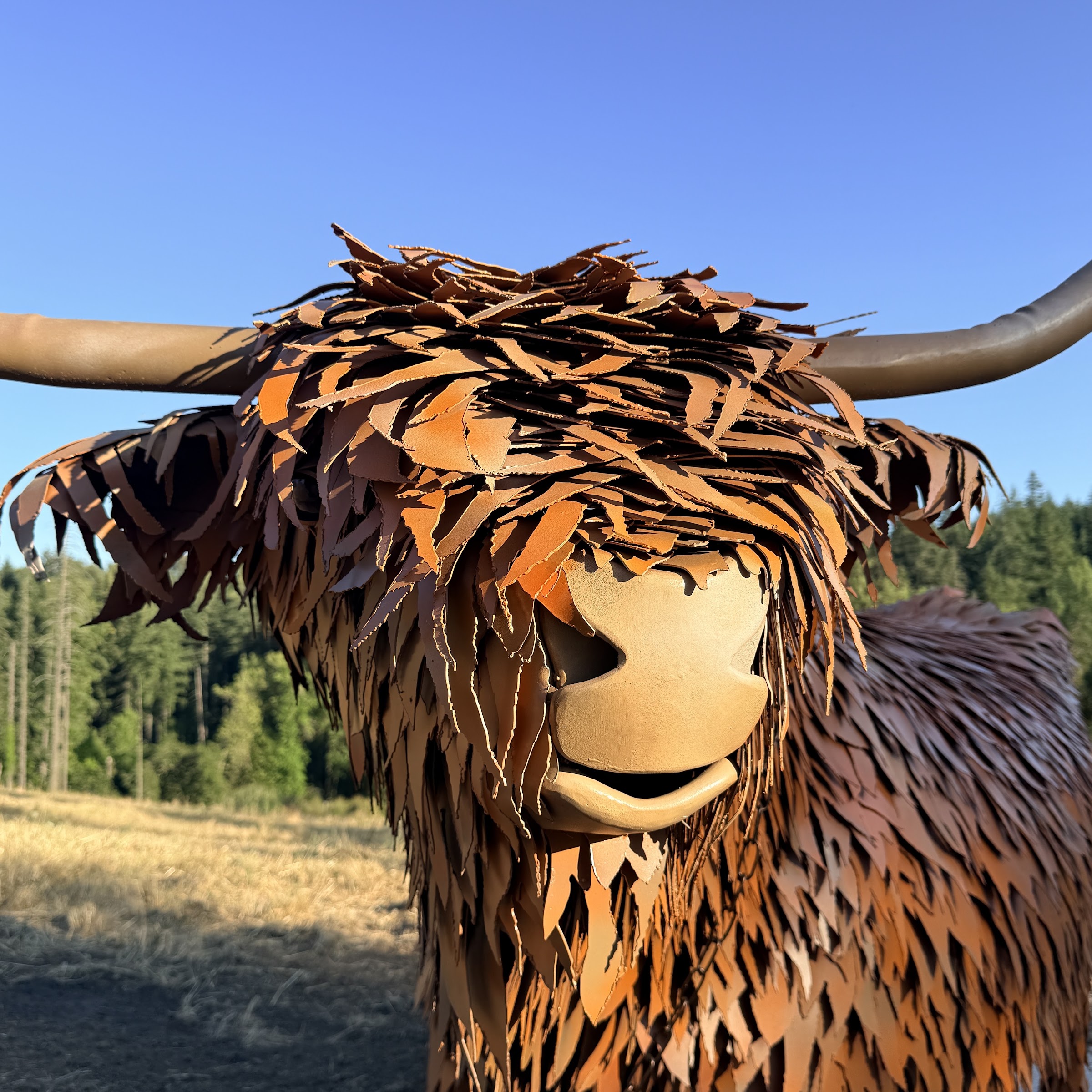 Erma, highland cow sculpture by Renee Mahni
